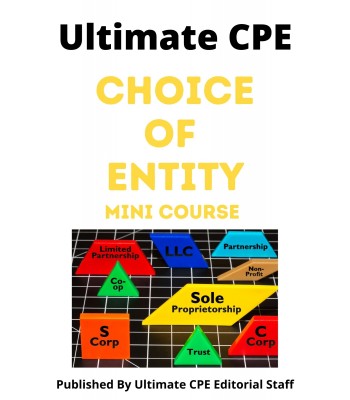 Choice Of Entity 2023 Mini Course